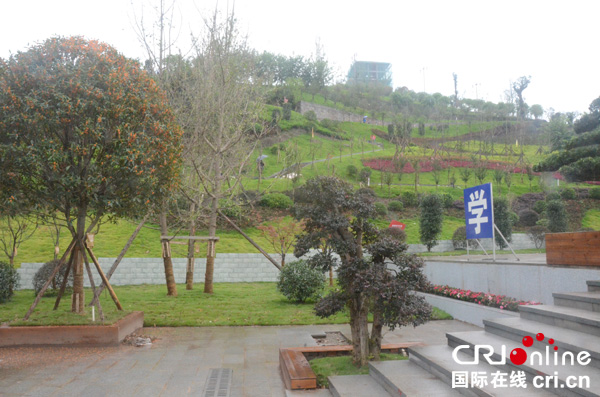 图片默认标题_fororder_国漆公园一角（张猜-摄）