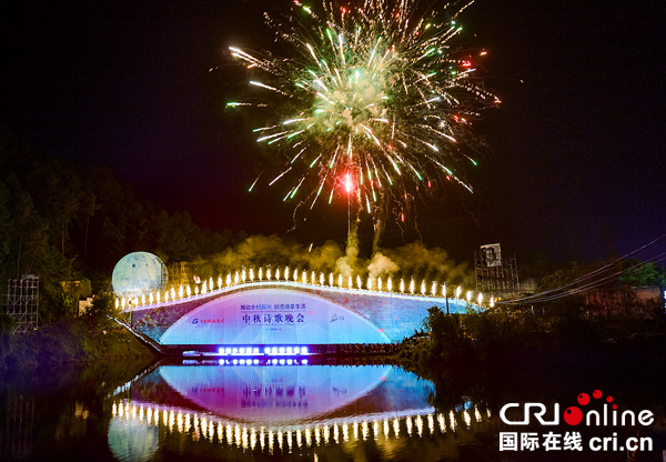 图片默认标题_fororder_4开幕式晚会上演烟花秀（摄影-廖志全）