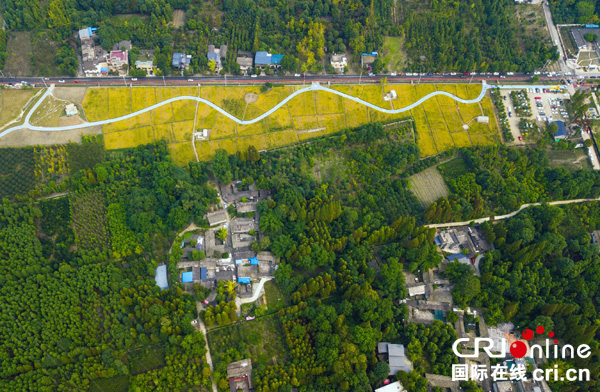 图片默认标题_fororder_2018年首届“中国农民丰收节”都江堰市全国分会场举办地柳街镇现场航拍图（摄影-何勃-）