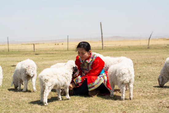 女大学生毕业回乡当牧民 拍下内蒙古风光在今日头条上打动20万人
