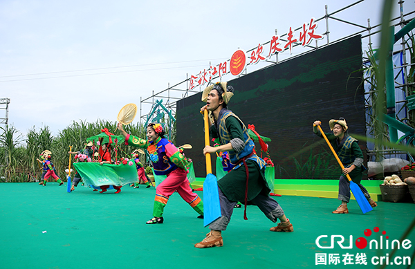 图片默认标题_fororder_江阳区首届丰收节--摄影-王承伟