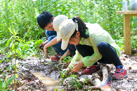 达拉自然探索营落成 让孩子体验自然