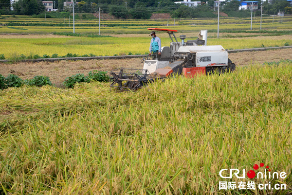 图片默认标题_fororder_mmexport1537864108776