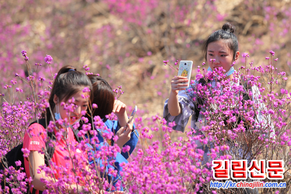 장춘-돈화-연길-훈춘, '전국 우수 자가용운전 관광코스'에 입선