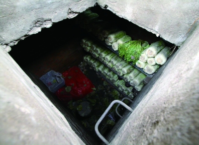 베이징에서 찾은 오래된 채소움 베이징에서 찾은 오래된 채소움