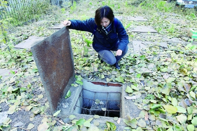 베이징에서 찾은 오래된 채소움 베이징에서 찾은 오래된 채소움