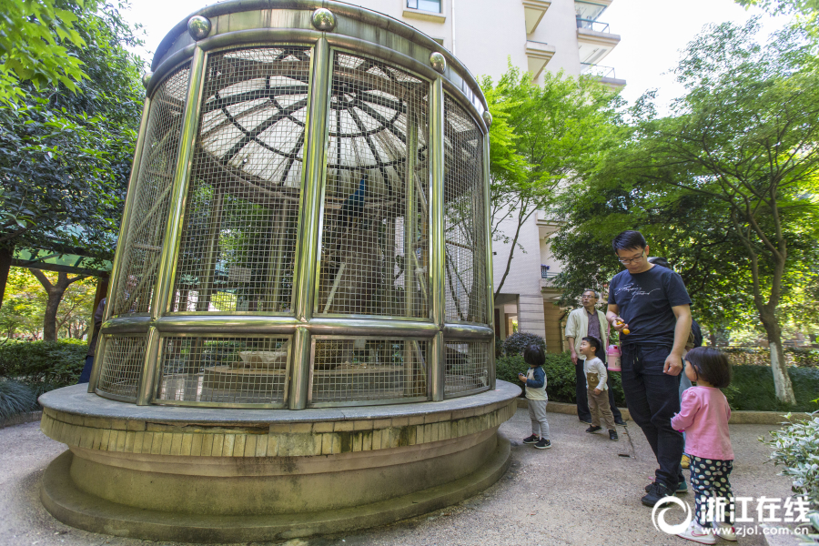 杭州一小区圈养孔雀 深夜叫声扰民(组图)