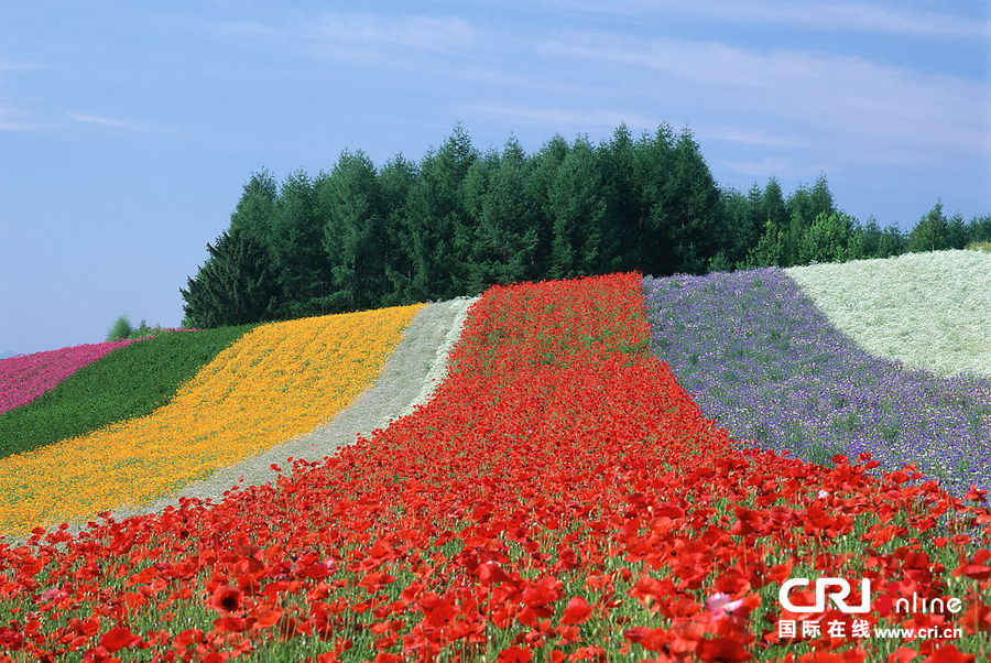 천자만홍의 비경연경(延慶) 천자만홍의 비경연경(延慶)