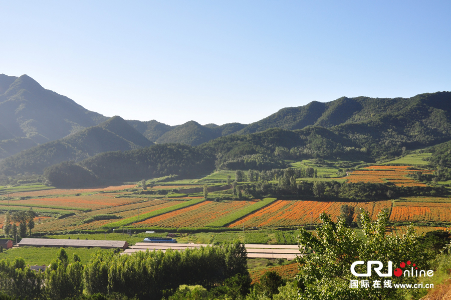 천자만홍의 비경연경(延慶) 천자만홍의 비경연경(延慶)