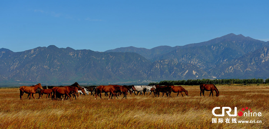 천자만홍의 비경연경(延慶) 천자만홍의 비경연경(延慶)