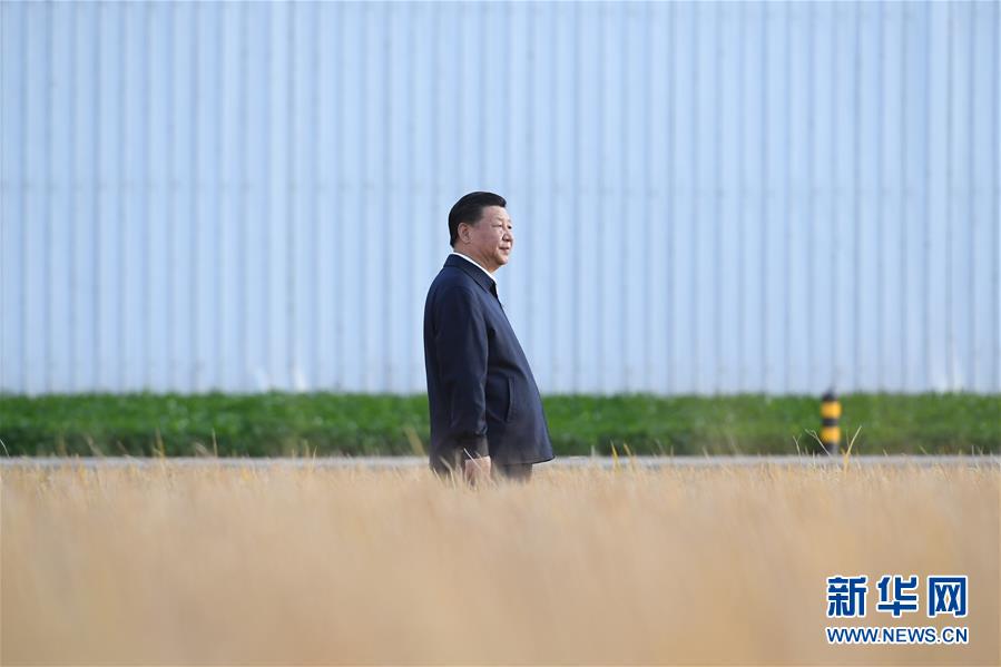 习近平在黑龙江考察
