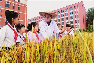 小学生走进沈阳农业大学校园农场体验丰收的喜悦