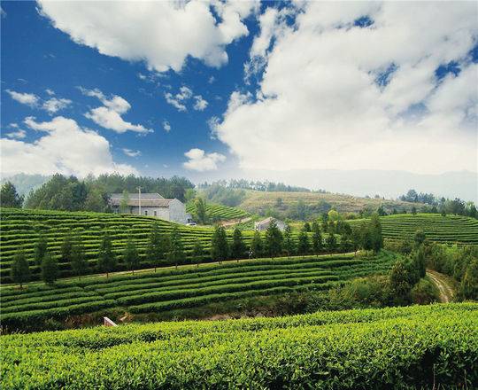 （导航广元）广元加快旅游产业转型升级 打造大蜀道国际旅游目的地