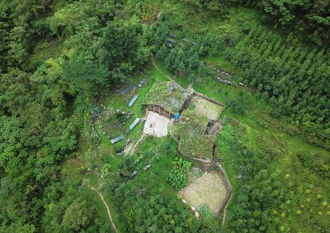 （导航成都）探秘与野生大熊猫混居的深山部落：“国宝”就在你家房前遛弯