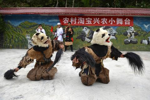 （导航成都）探秘与野生大熊猫混居的深山部落：“国宝”就在你家房前遛弯