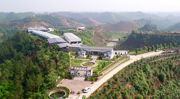 图片默认标题_fororder_茶园