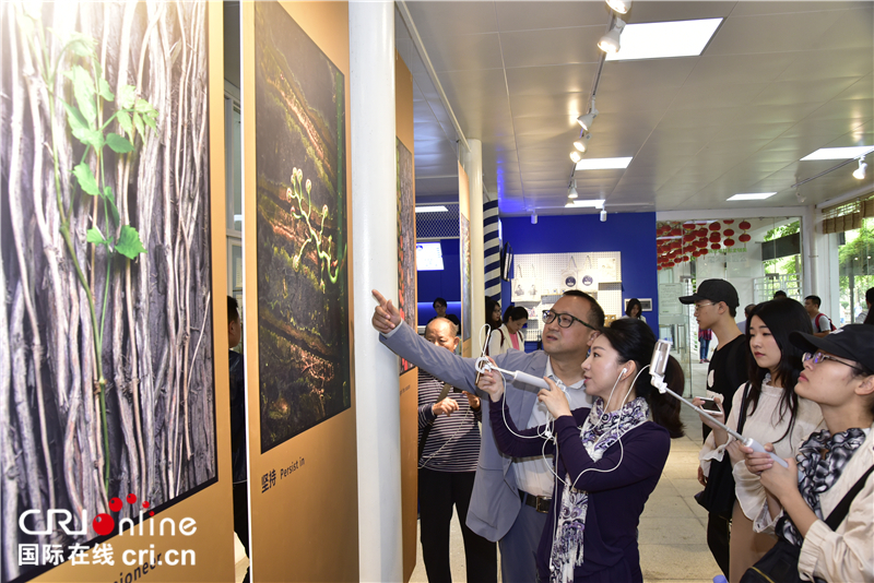 袁明辉首次摄影展在武汉市解放公园美术馆开幕