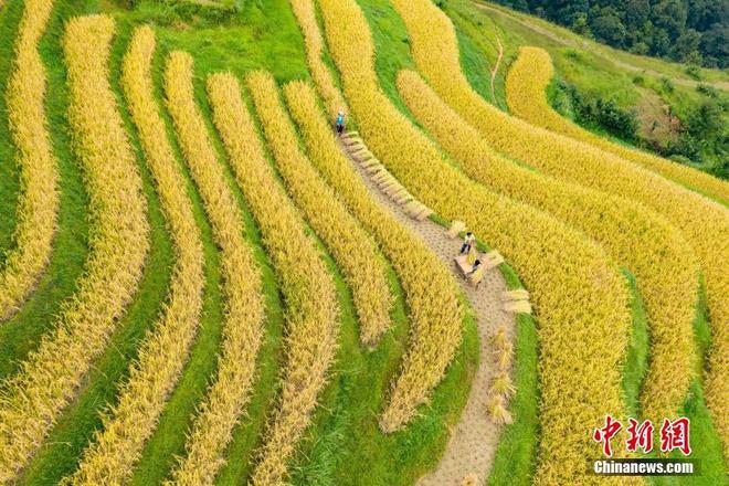 图片默认标题_fororder_129951601_15367097523021n