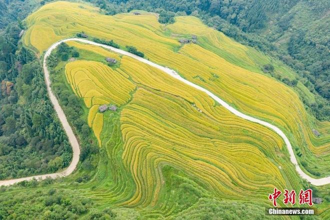 图片默认标题_fororder_129951601_15367097526191n