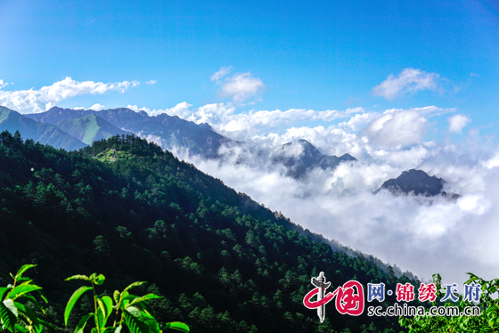 （乐游美食列表，移动端）向森林出发 西岭雪山国庆“0元旅游”