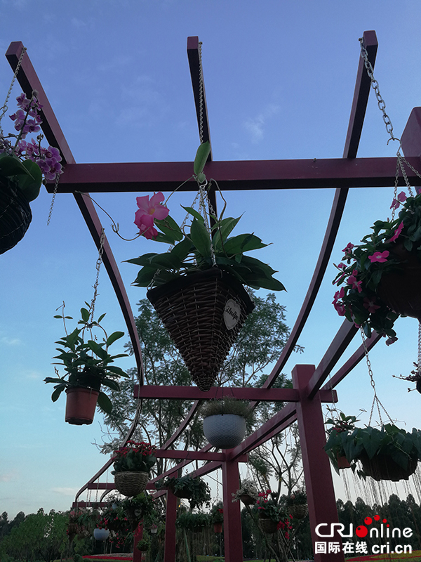 图片默认标题_fororder_IMG_20180928_181210