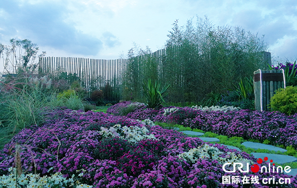 图片默认标题_fororder_IMG_20180928_183637