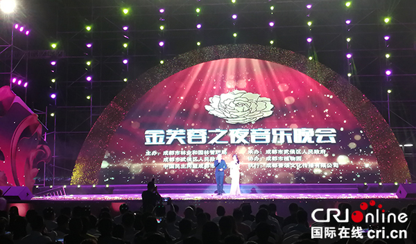 图片默认标题_fororder_音乐晚会现场