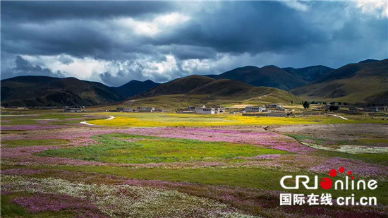 图片默认标题_fororder_稻城花海 摄影 刘斌