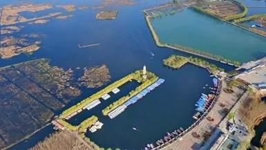 雄安新区:协同发展的黄金支点-国际在线-生态中