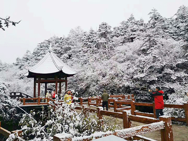 图片默认标题_fororder_2