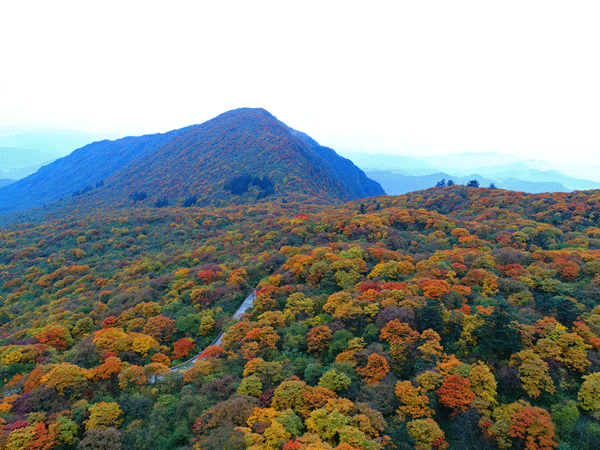 峨眉山初雪 “光临” 金顶景区进入雪域世界