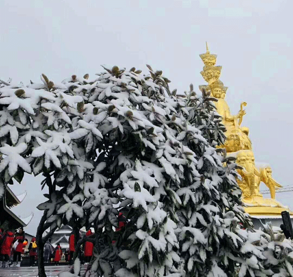 图片默认标题_fororder_1