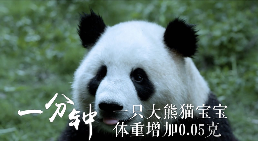 转载（导航成都）一分钟，四川会发生什么