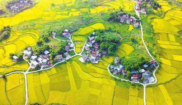 （头条-文字列表，导航成都）时代考题 四川答卷