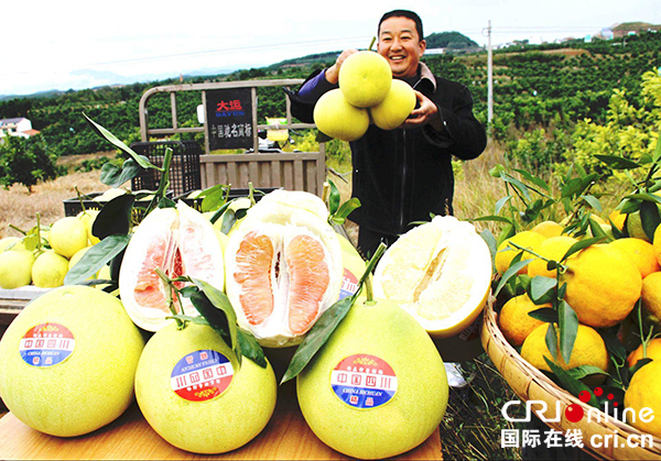 图片默认标题_fororder_4