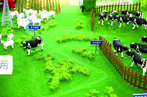 上海造“北斗数字牧场” 用卫星帮牧民赶牛羊 每户降耗超万元