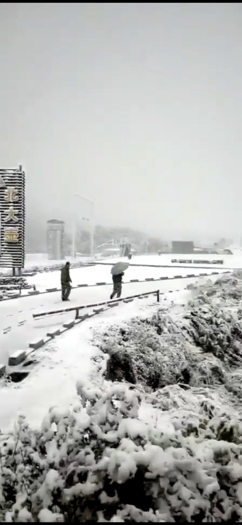 吉林省迎来入秋第一场雪