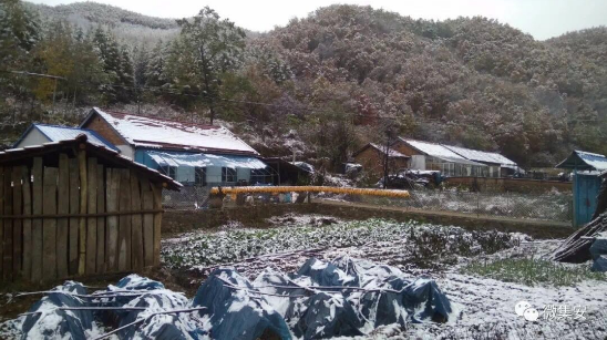 吉林省迎来入秋第一场雪
