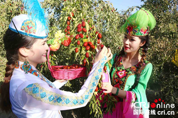 图片默认标题_fororder_5、新疆若羌县红枣--（若羌县委宣传部---供图）