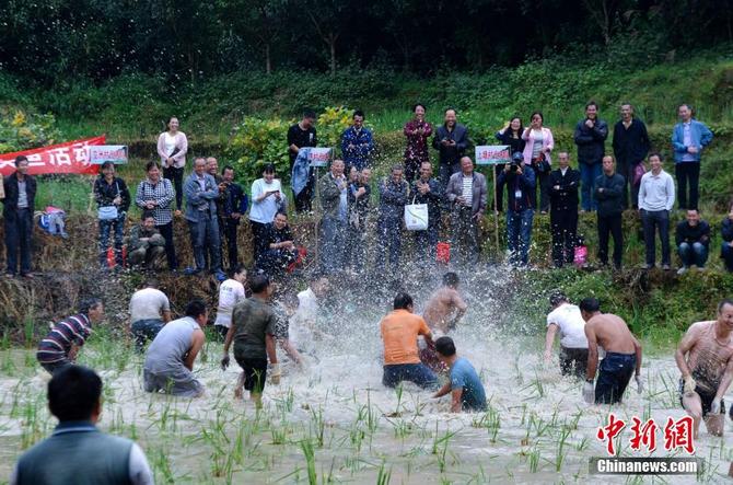 图片默认标题_fororder_1