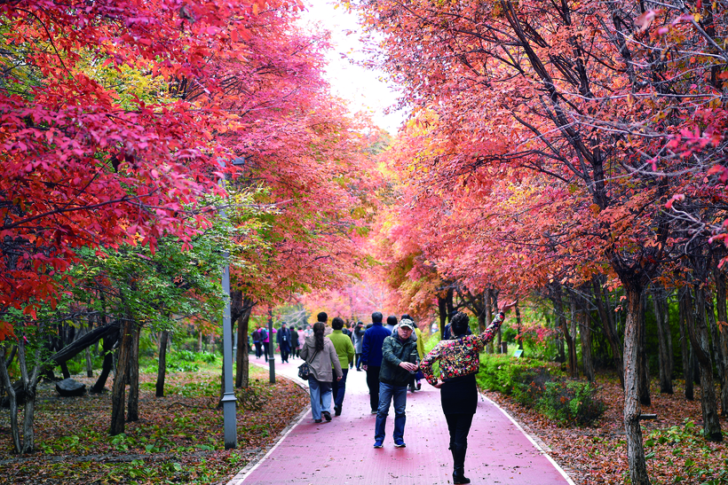 10月12日南湖公园举办“赏金秋红叶 悦律动南湖”活动