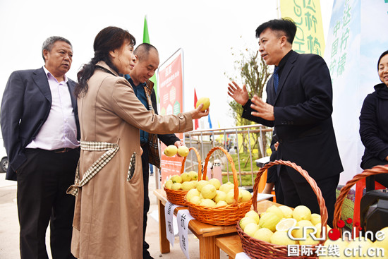 【CRI专稿 摘要】重庆潼南国际柠檬节开幕 “酸”柠檬种出“甜”日子