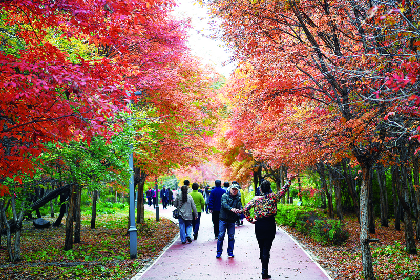 长春南湖公园秋季美不胜收 众多游客前来观赏
