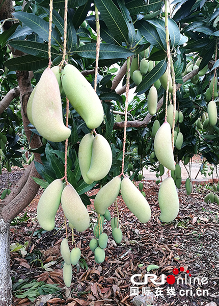 图片默认标题 图片默认标题