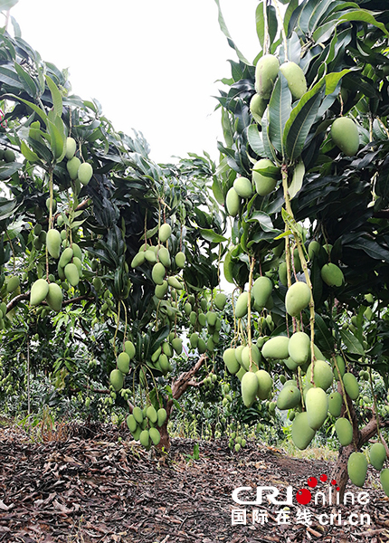 图片默认标题 图片默认标题