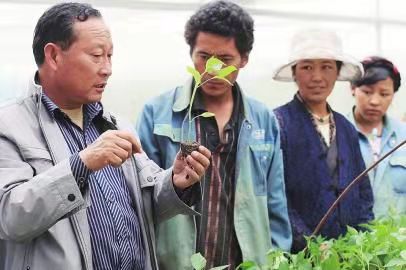 张际明:18年如一日扎根西藏 助白朗县瓜果飘香