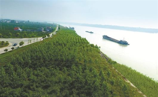 外修生态两江碧 内修人文满园春 宜都创成湖北省首个县级国家森林城市