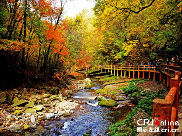 图片默认标题_fororder_汉中黎坪景区（汉中市委宣传部-供图）2