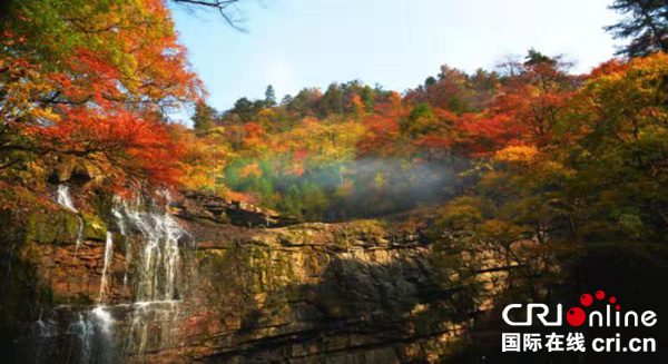 图片默认标题_fororder_汉中黎坪景区（汉中市委宣传部-供图）1