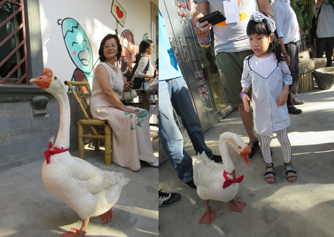 图片默认标题_fororder_9